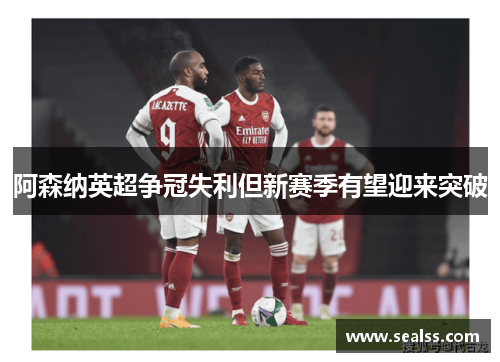 阿森纳英超争冠失利但新赛季有望迎来突破