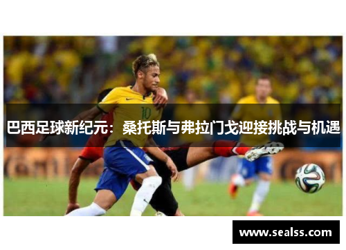 巴西足球新纪元：桑托斯与弗拉门戈迎接挑战与机遇