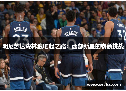 明尼苏达森林狼崛起之路：西部新星的崭新挑战