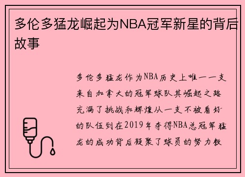 多伦多猛龙崛起为NBA冠军新星的背后故事